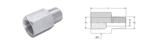 Stainless Steel High Pressure Pipe Fittings for Corrosive and High-Temperature Services